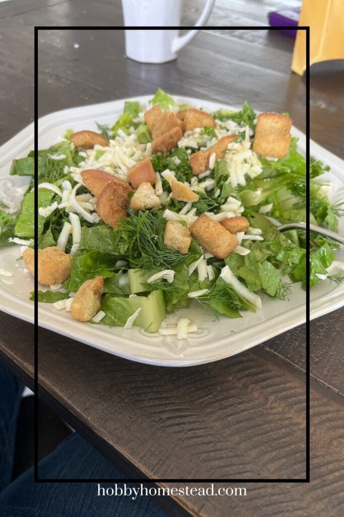 Fresh Herb and Romaine Salad