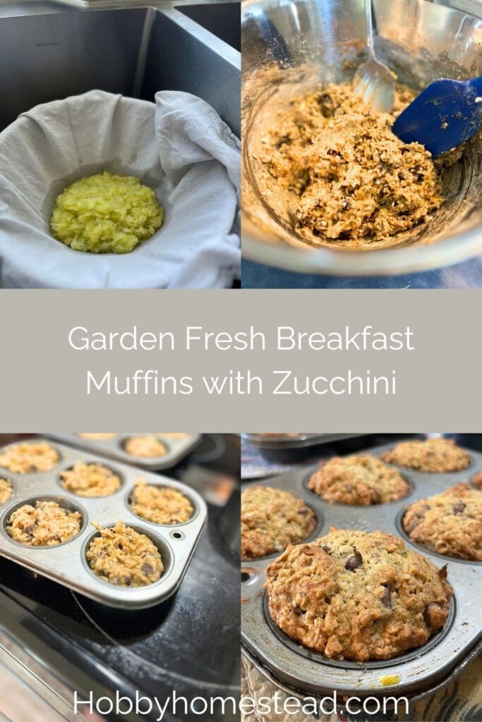 Garden Fresh Breakfast Muffins with Zucchini