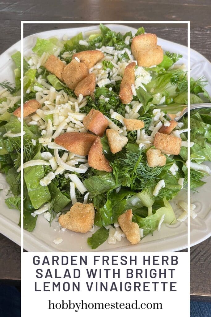 Garden Fresh Herb Salad with Bright Lemon Vinaigrette