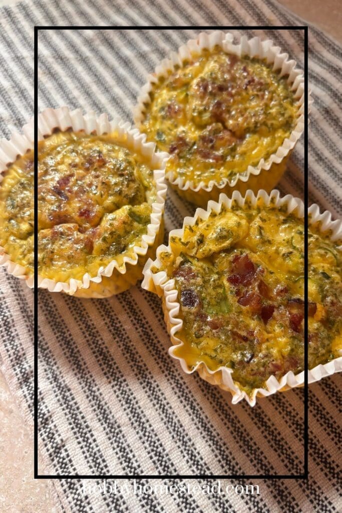 Grab and Go Zucchini Egg Muffins