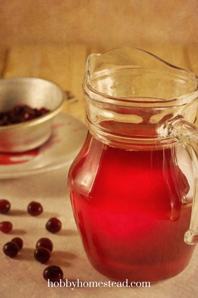 Homemade Winter Berry Spritzer for a Party
