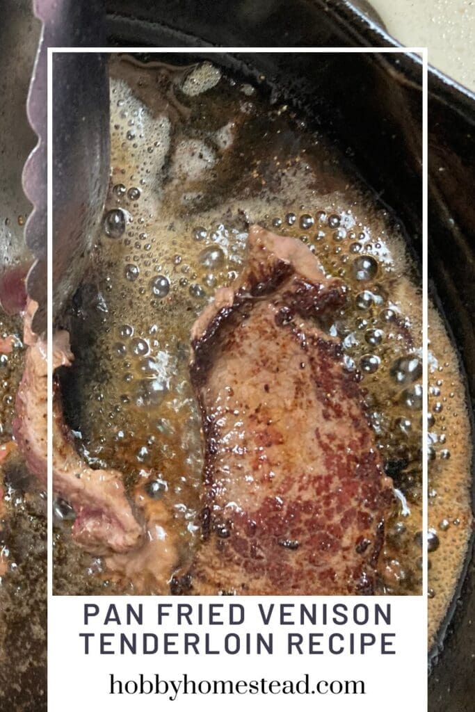 Pan Fried Venison Tenderloin Recipe