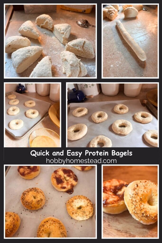 Quick and Easy Protein Bagels