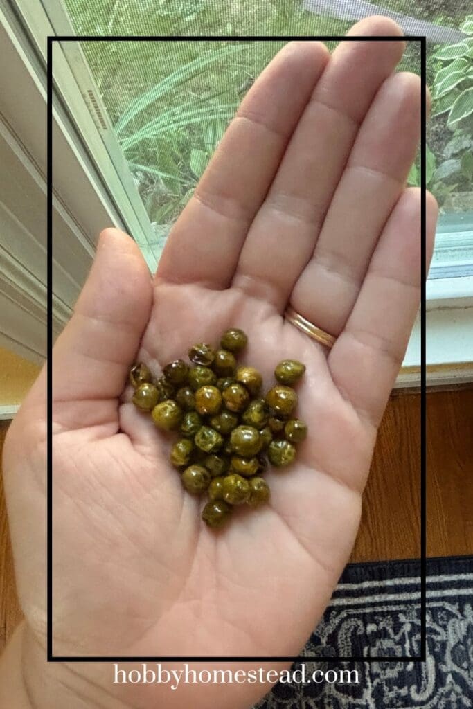 Roasted Green Peas Snack