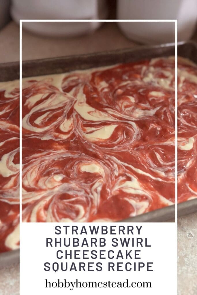 Strawberry Rhubarb Swirl Cheesecake Squares Recipe