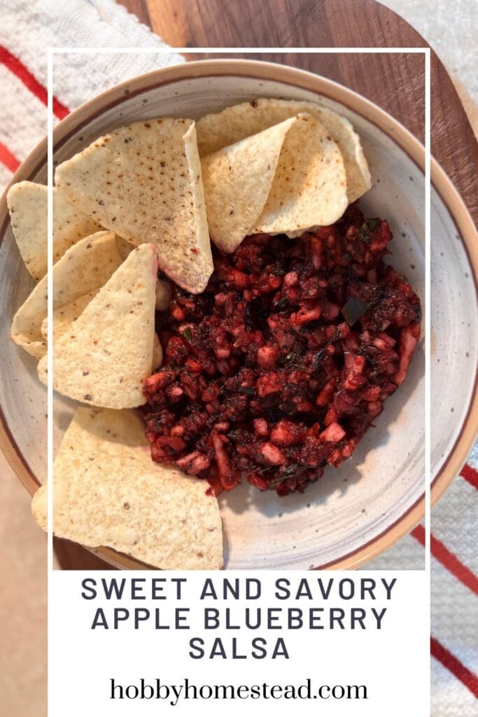Sweet and Savory Apple Blueberry Salsa