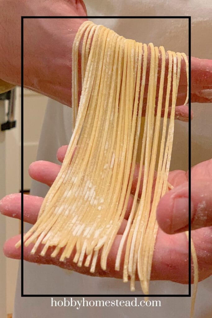 Thin Strips of Fresh Pasta Dough