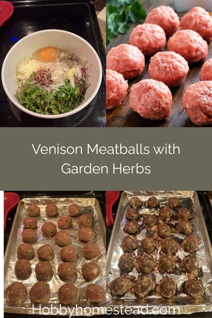 Venison Meatballs with Garden Herbs