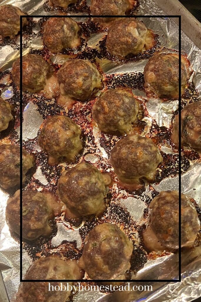 Wild Game Baked Meatballs